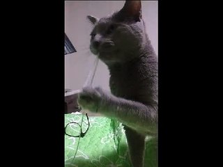 모란출장안마 ☏010-4931-1169☏출장마사지☝ 모란출장마사지