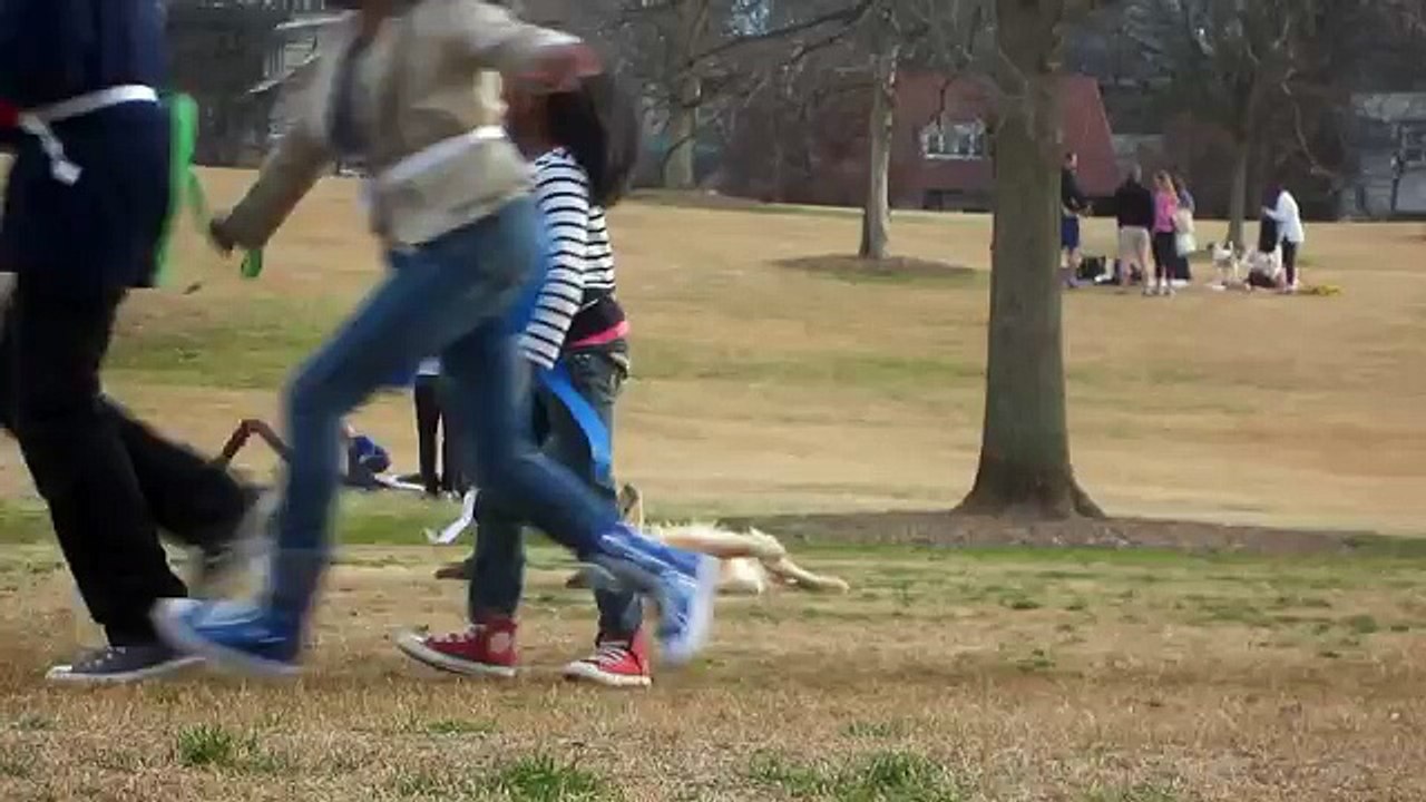 Il cane non vuole tornare a casa e la scena è davvero divertente...