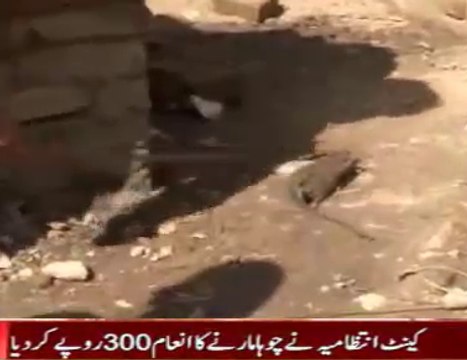 Kill The Rat And Get Rs 300 Price In Peshawar