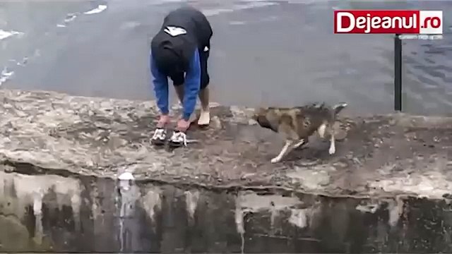 Salva un cane che stava annegando, ma non si aspettava questo...