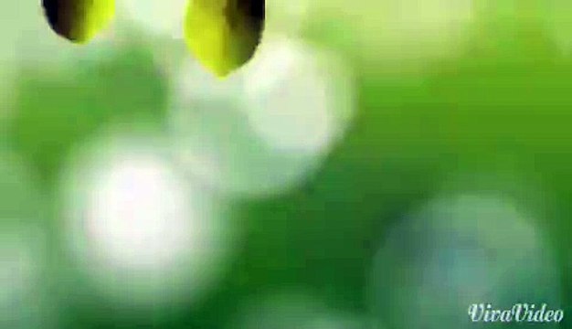 송파출장안마 ☕콜걸☕010-4931-1169☑ 송파출장마사지