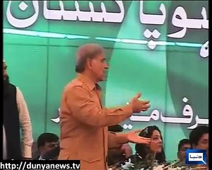 100 Choha Kha Ka Bili Haj Ko Chali Cartoon E Aala Shahbaz Sharif -