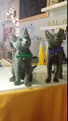 강서출장마사지 @010-4931-1169@loo%후불제« 강서출장안마