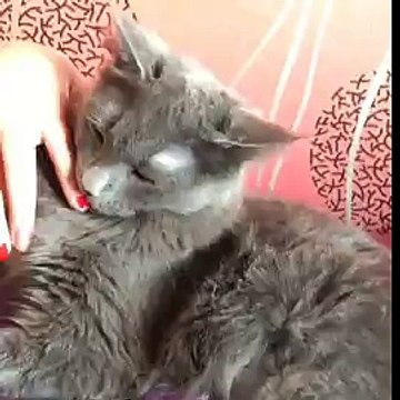 삼성동출장안마 ✈010-4931-1169✈선입금없는출장안마★ 삼성동출장마사지