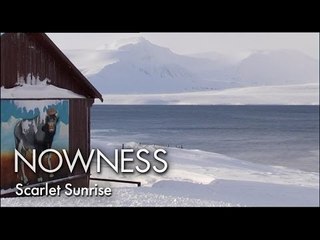 Scarlet Sunrise