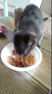 김포출장 ‶출장안마후기‶010-4931-1169✝ 김포시출장