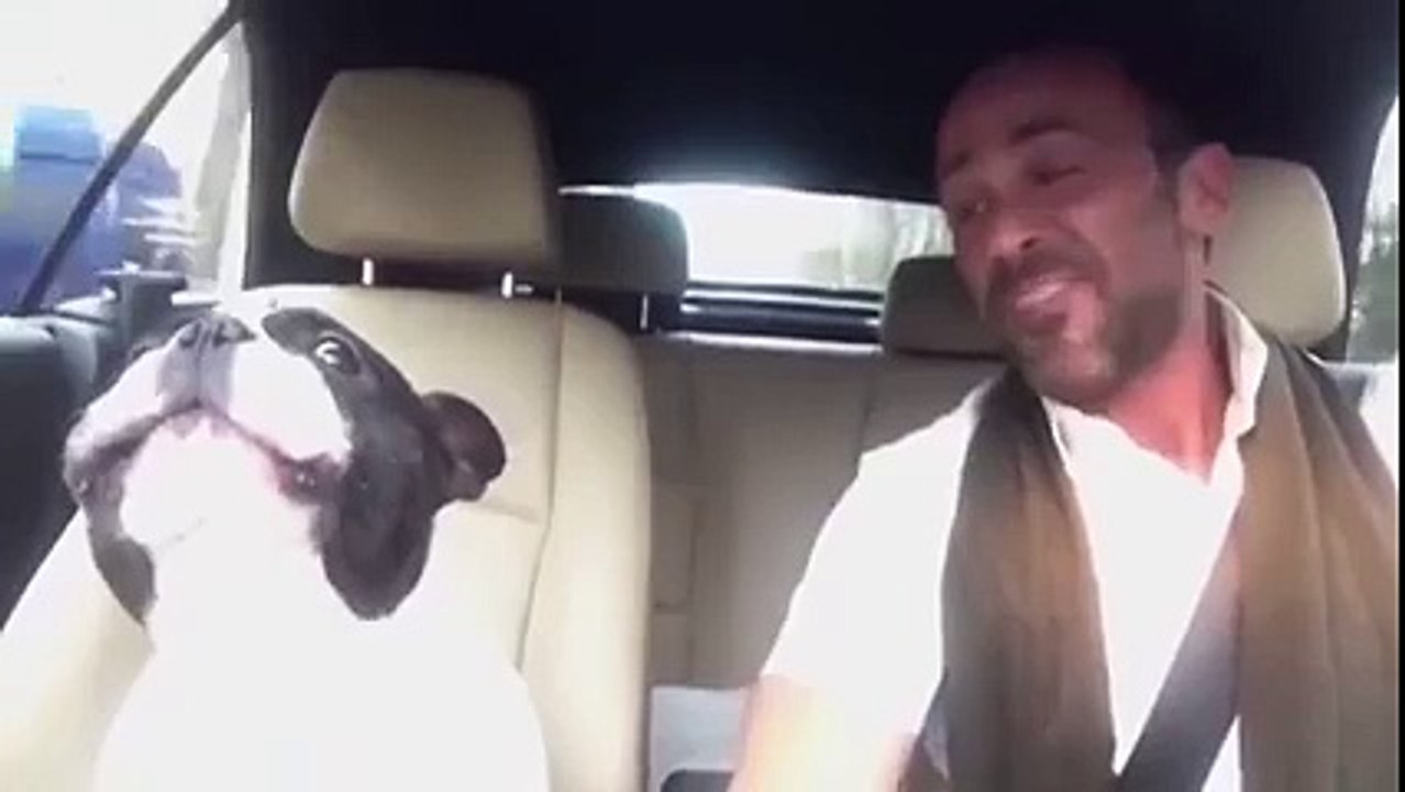 Dog with Talent