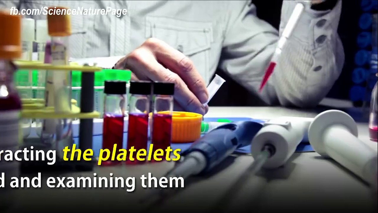 A partir d'une seule goutte de sang on peut détecter les types de cancer
