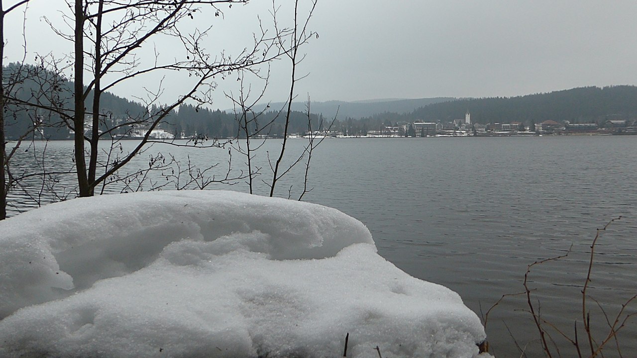 Titisee rundwanderung