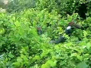 saut dans les buissons 11