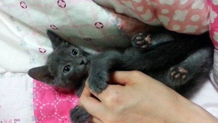 구로출장 ⇘OlO=4931=1169⇙출장안마⇦ 구로구출장