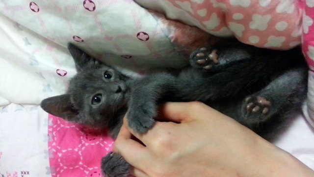 구로출장 ⇘OlO=4931=1169⇙출장안마⇦ 구로구출장