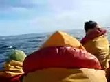 3 Mochileros Colombianos y más delfines en Puerto Piramides