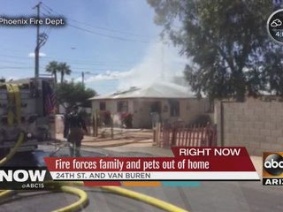 Fire forces family and pets out of Phoenix home
