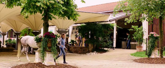 Восточный ветер 2 (драма, мелодрама, приключения)