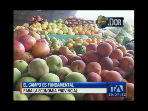 Cultivos afectados por ceniza volcánica en Tungurahua