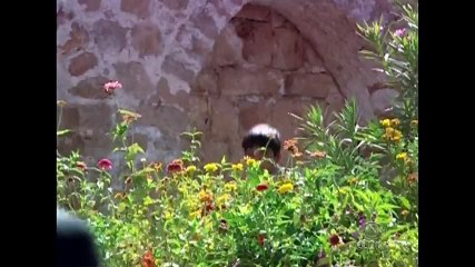 SILA PRISIONEIRA DO AMOR 31-03-2016 Capítulo 3 Parte 3/3