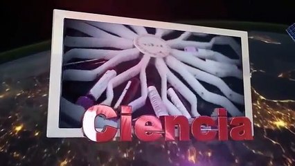 La Mejor Arma Utilizada Por satanás (La Seducción)