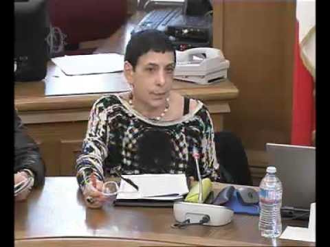 Roma - Tessuto industriale e digitalizzazione filiere industriali, audizione esperti (31.03.16)