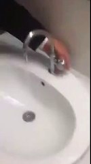 Dailymotion PHP SDK upload test