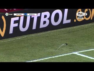 ¡Cancha rápida! Regaron el césped en pleno partido