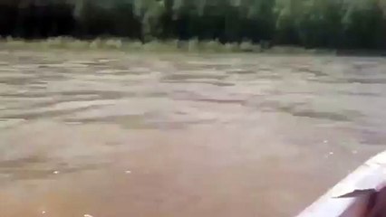 Это Россия, детка