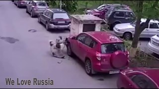 We Love Russia 2015 Russian Fail Compilation #54 Funniest Russian moment