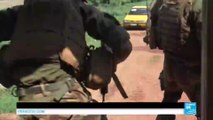 Central African Republic: French soldier accused of forcing children to perform bestial sex acts with dogs