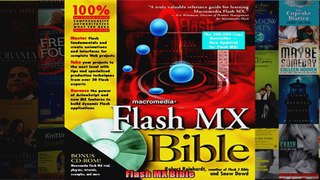 Flash MX Bible