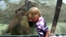 Monkey Blowjop and sex in garden