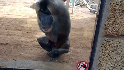 Wasn't expecting that