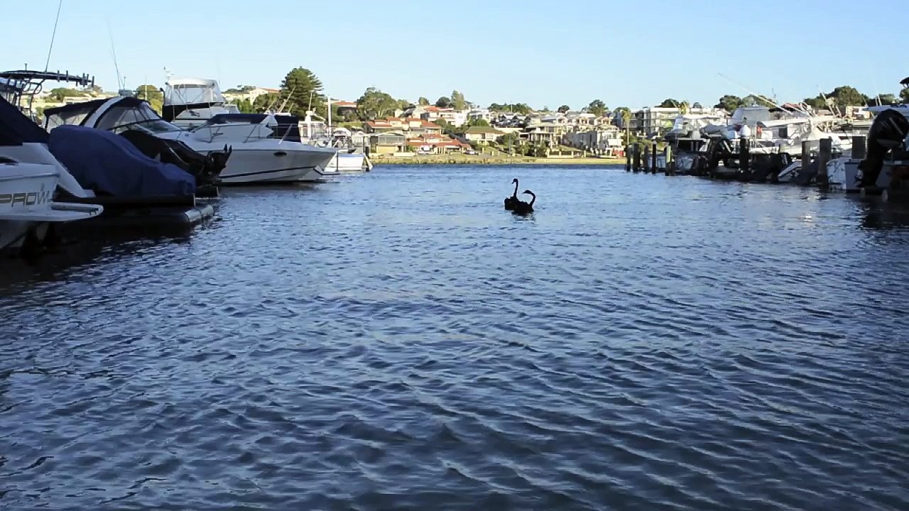 ESP Session 2 - Fremantle
