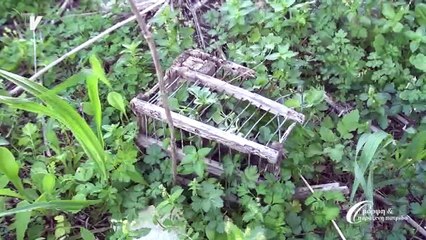 Νένητα: Από τα μεταλλεία πετροκάρβουνου στο Ναο της... Ήρας 27-02-16