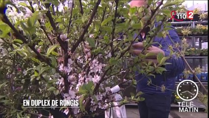 Jardin - En duplex de Rungis - 2016/04/01