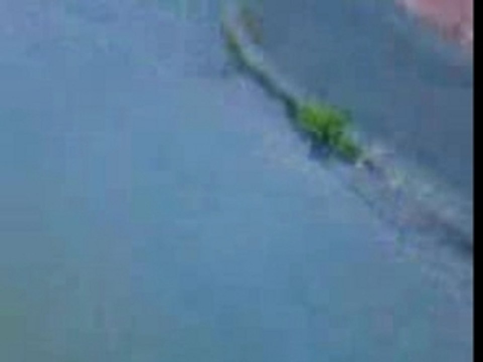 VID013
