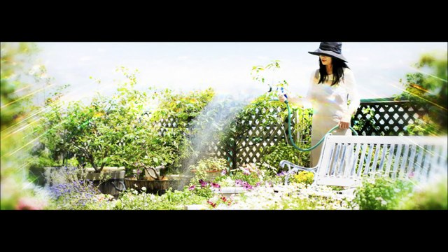 S & L Landscaping Services - (469) 658-2906