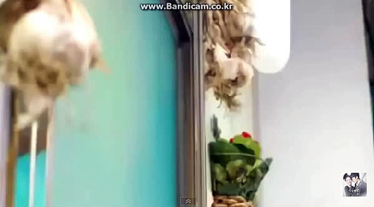 【방문totobksoft.com】#솔루션【카톡haricuty 스카이프haricuty】