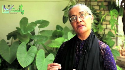 ہمارے اپنے ہمارے ہیروحصہ اول