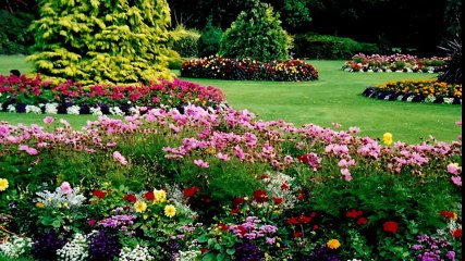 Zambrano's Landscaping Service LLC - (732) 200-0115