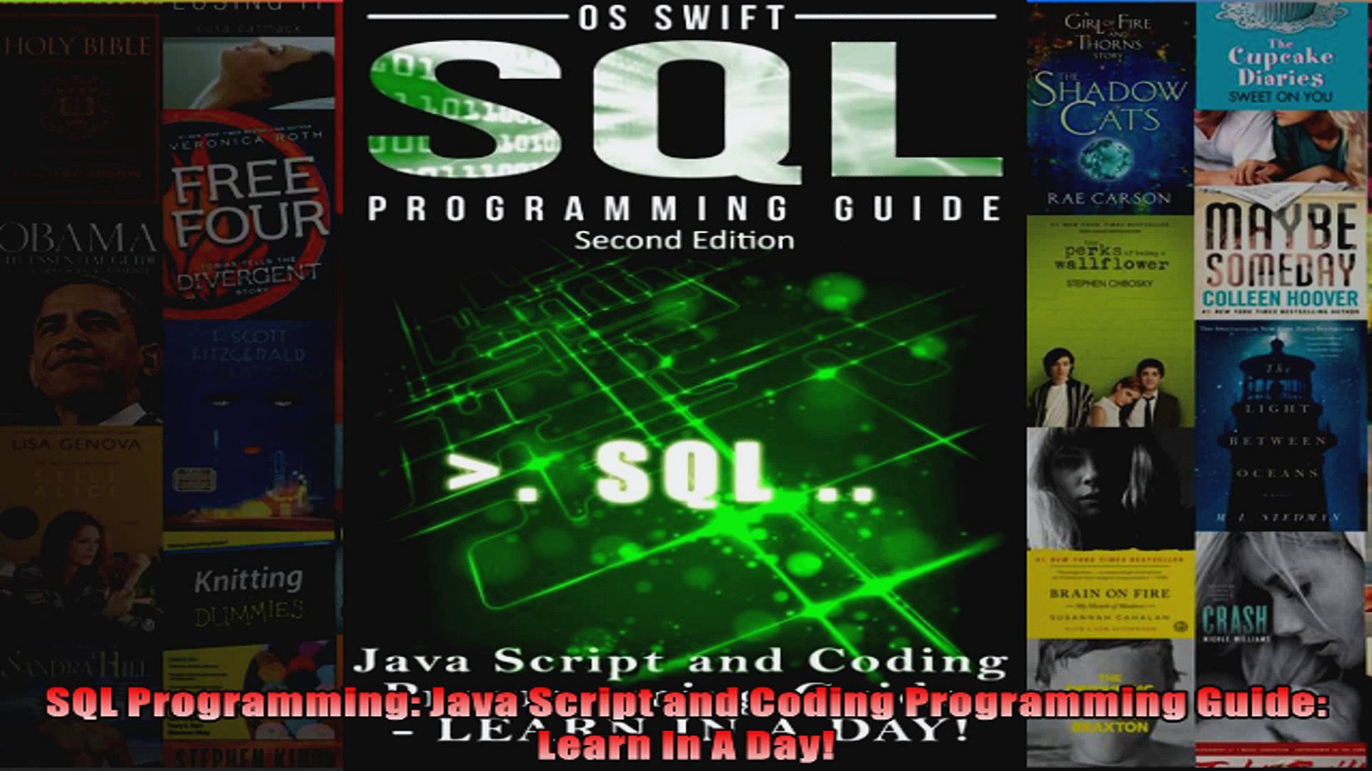 SQL Programming Java Script and Coding Programming Guide Learn In A Day