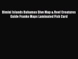 Download Bimini Islands Bahamas Dive Map & Reef Creatures Guide Franko Maps Laminated Fish