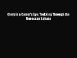 Download Glory in a Camel's Eye: Trekking Through the Moroccan Sahara  EBook