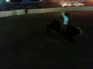 Ganaderia Los Gigantes De Acero En Plaza De Toros La Trinid