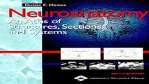 Download Neuroanatomy  An Atlas of Structures  Sections  and Systems  Neuroanatomy  An Atlas