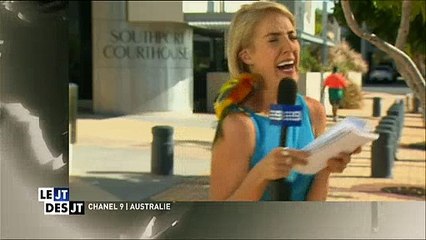 Un perroquet vient perturber un duplex à la télé australienne - Regardez