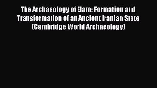 Download The Archaeology of Elam: Formation and Transformation of an Ancient Iranian State