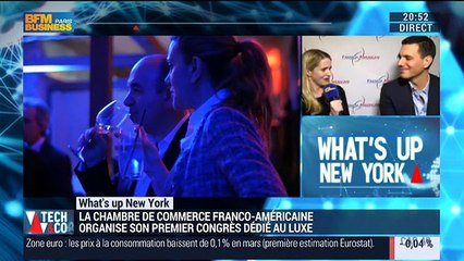 What's Up New York: la Chambre de commerce franco-américaine organise son premier congrès dédié au luxe - 31/03