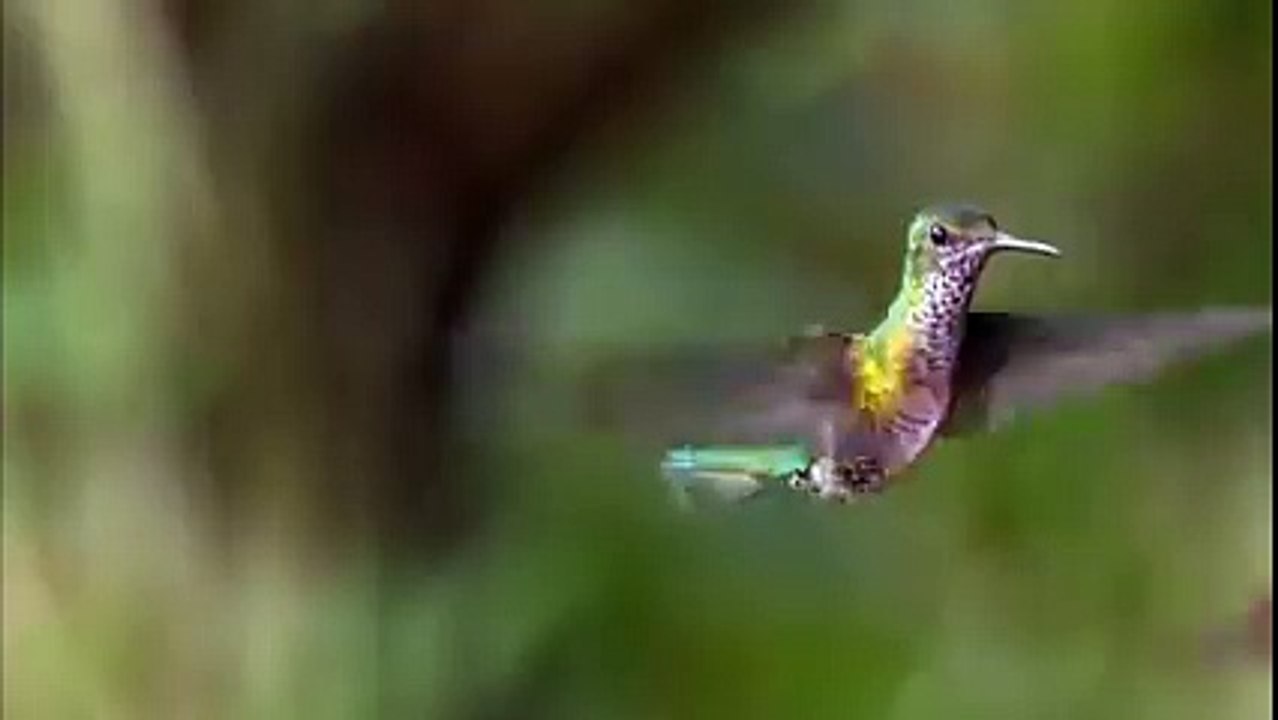 Dance like no one is watching you