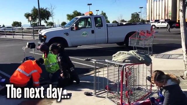 Kitten Trapped in Storm Drain Rescued after 33 Hours!