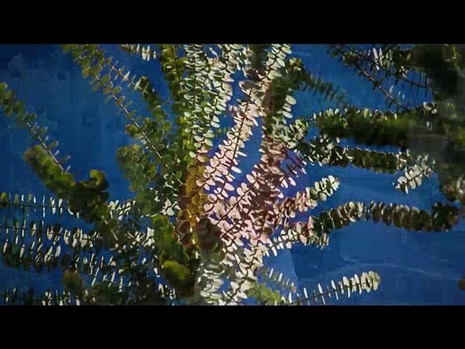 القرآن هو كلام الله تعالى